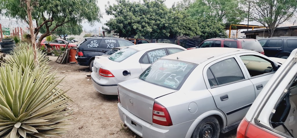 Yonke Cora | Rancho Tres Piedras, 22330 Rancho 3 Piedras, B.C., Mexico | Phone: 664 325 3358 Yonke Cora | Rancho Tres Piedras, 22330 Rancho 3 Piedras, B.C., Mexico | Phone: 664 325 3358