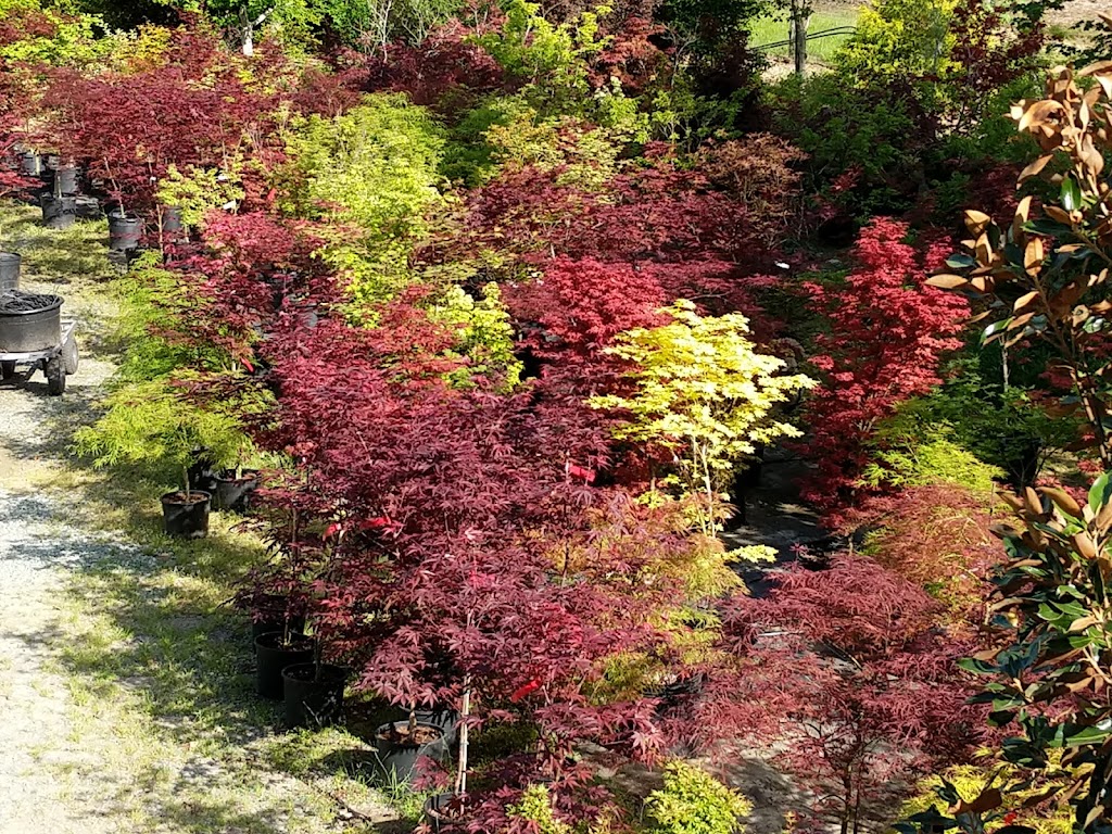 Get Rooted Plant Nursery and Garden Center | 2038 Crawford Dairy Rd, Chapel Hill, NC 27516, USA | Phone: (919) 357-3703