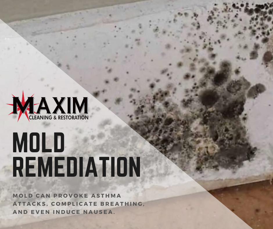 Maxim Cleaning and Restoration | 10524 Chandler Rd #1, La Vista, NE 68128, USA | Phone: (402) 697-9004