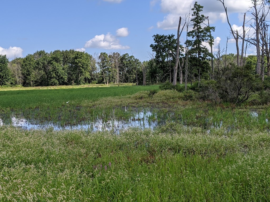 Iroquois National Wildlife Refuge | Casey Rd, Basom, NY 14013, USA | Phone: (585) 948-5445