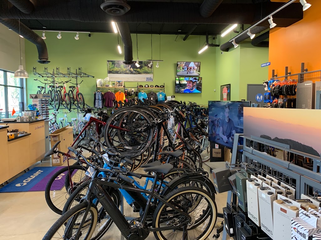 Preston Hollow Bicycles | 3850 W Northwest Hwy #1170, Dallas, TX 75220, USA | Phone: (214) 434-1515