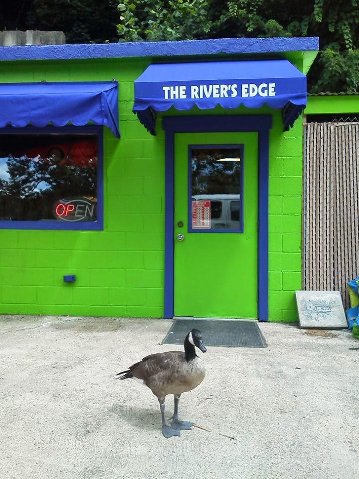 The Rivers Edge Canoe & Kayak, LLC | 3158 River Rd, Leechburg, PA 15656, USA | Phone: (724) 845-9501