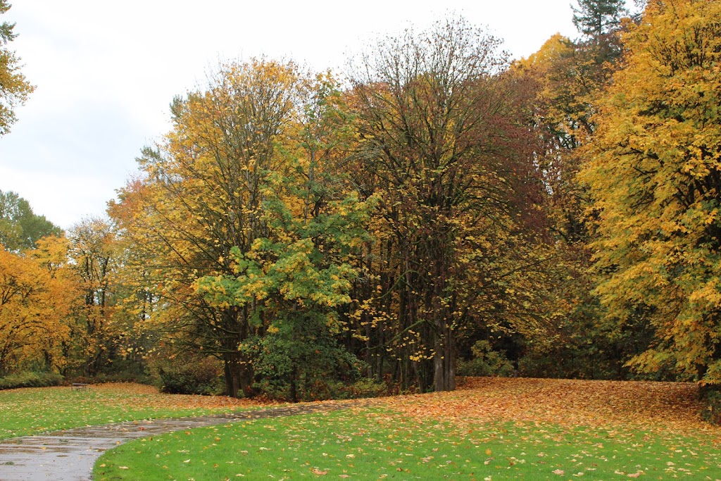 Outlying Park Shelter Cedar River Tail | Renton, WA 98058, USA | Phone: (425) 430-6700