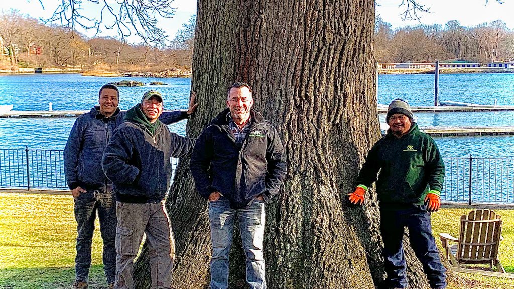 Gedney Tree Care | 1600 Harrison Ave, Mamaroneck, NY 10543, USA | Phone: (914) 967-2488