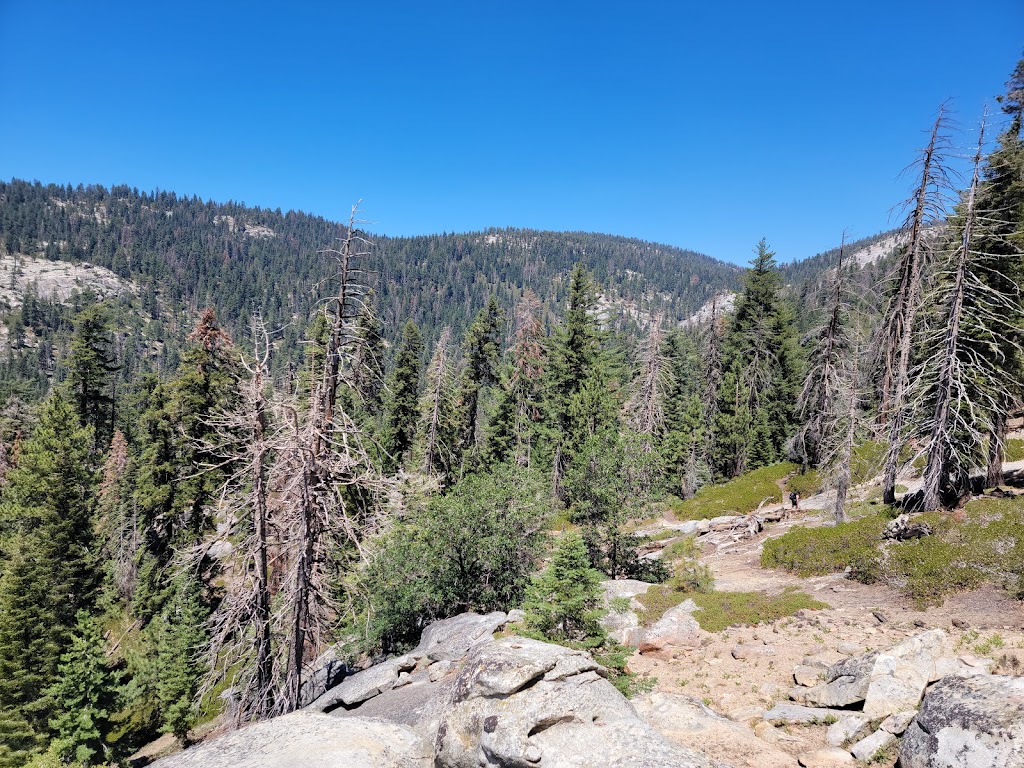 Sequoia National Forest | 1839 South Newcomb Street, Porterville, CA 93257, USA | Phone: (760) 379-5646