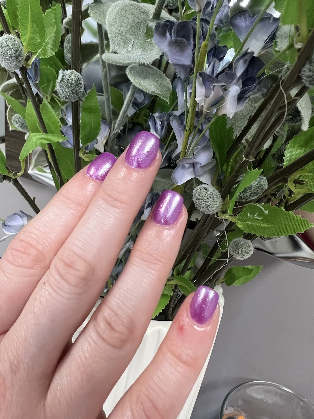 A1 Nails: Salon & Medi Spa | 5032 Old Hickory Blvd, Hermitage, TN 37076, USA | Phone: (615) 953-7488