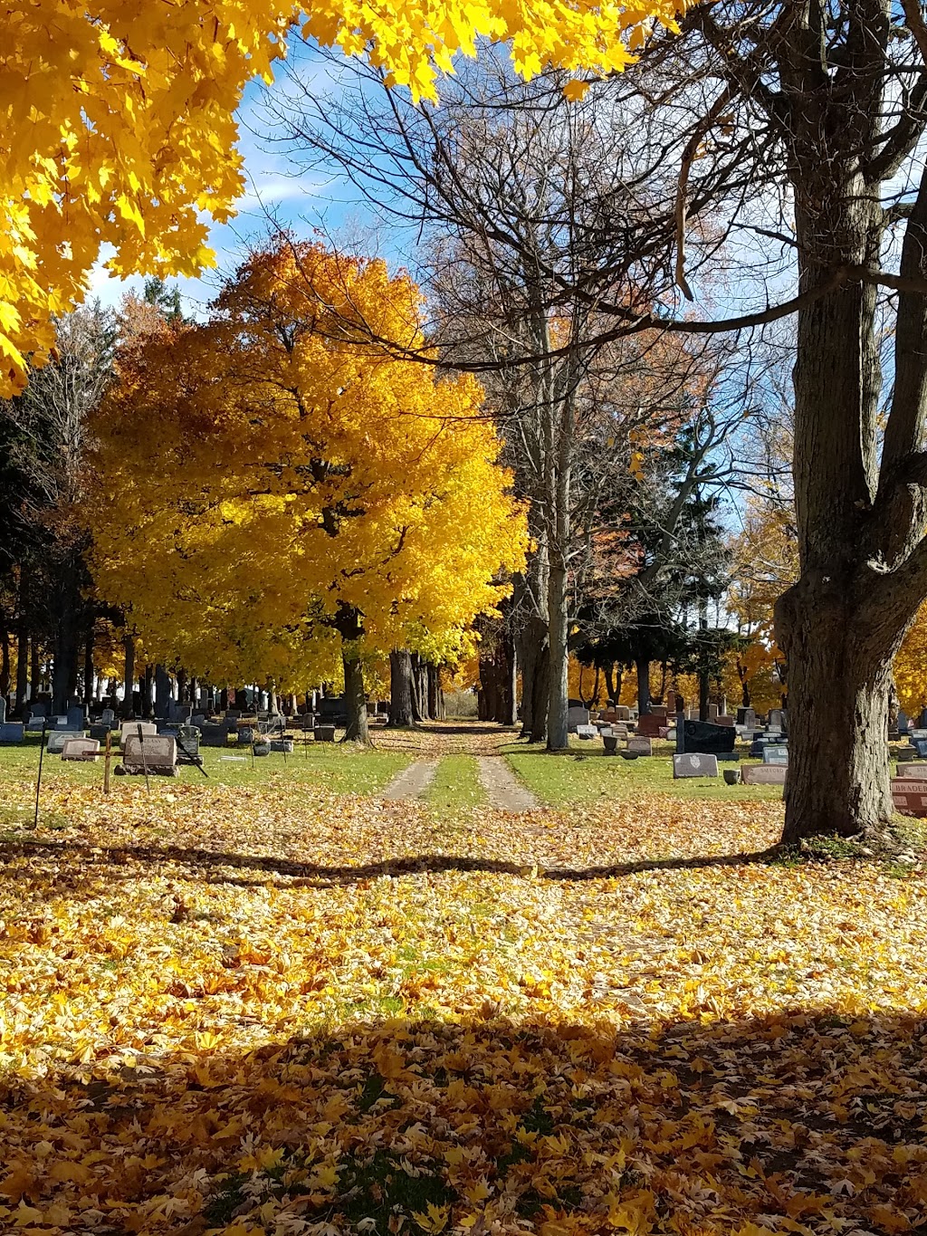 Lancaster Rural Cemetery | 70 Cemetery Rd, Lancaster, NY 14086, USA | Phone: (716) 681-8419