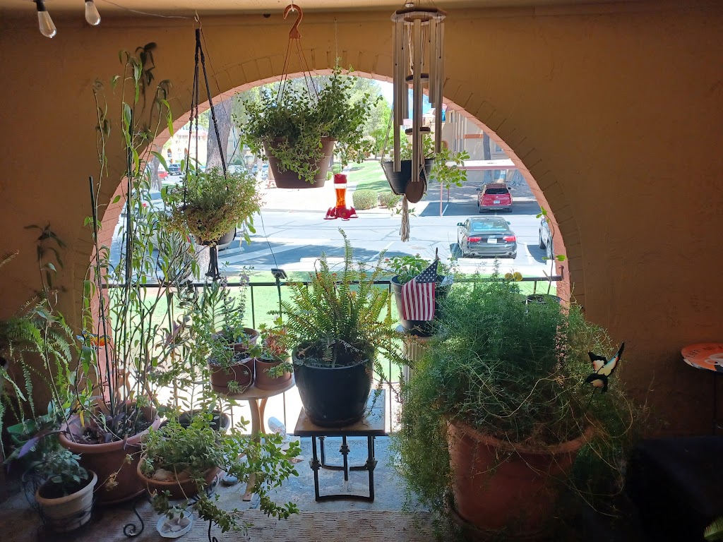 The View At Catalina | 8000 E Wrightstown Rd, Tucson, AZ 85715, USA | Phone: (833) 297-5108