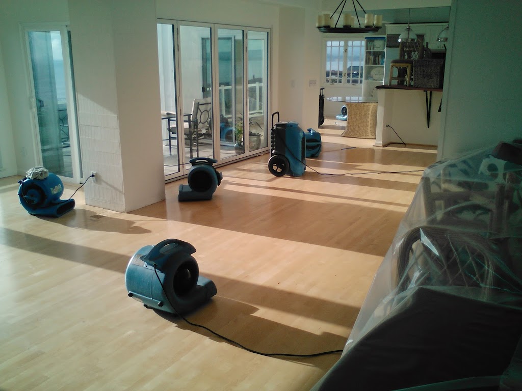 Tanin Carpet Cleaning, Water Damage, Mold Removal Arlington Hts | 1400 E Lillian Ave, Arlington Heights, IL 60004, USA | Phone: (847) 345-4774