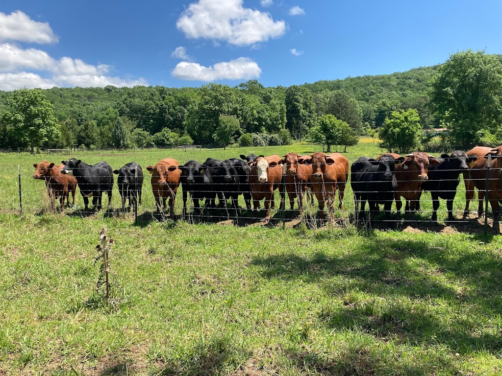 dixie-meat-processing-in-1485-lincoln-rd-oneonta-al-35121-usa