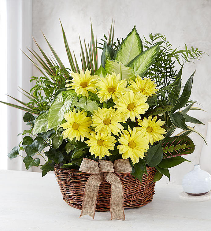 Dedham Flower Shop | 24 Arbor Ln, Dedham, MA 02026, USA | Phone: (781) 613-2221