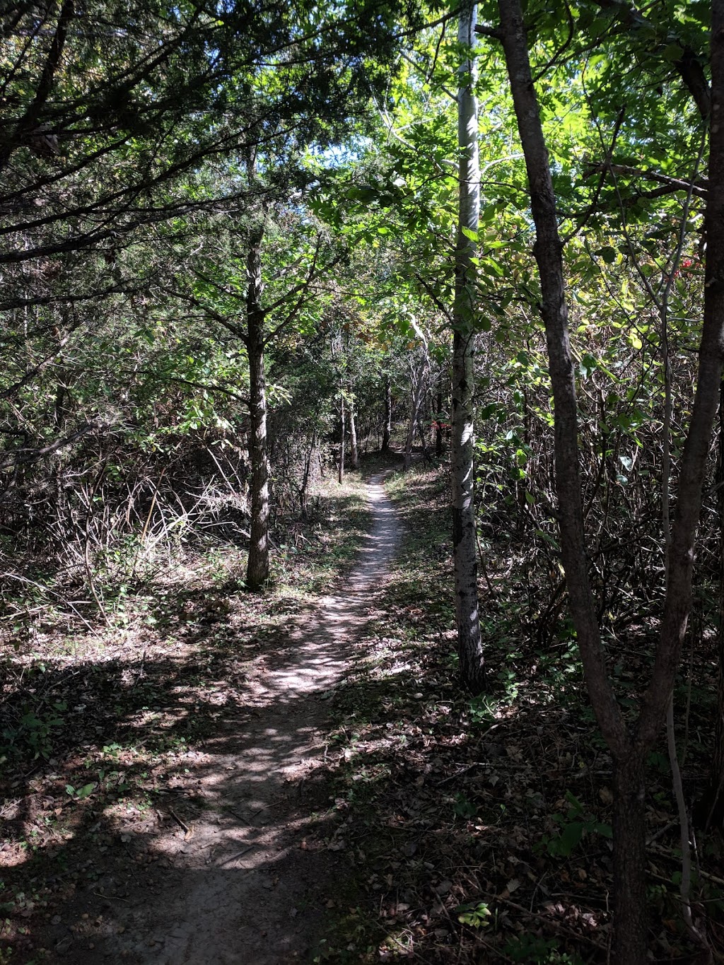 Lake Rebecca Park Reserve (South Group Camp) | Independence, MN 55359, USA | Phone: (763) 559-6700