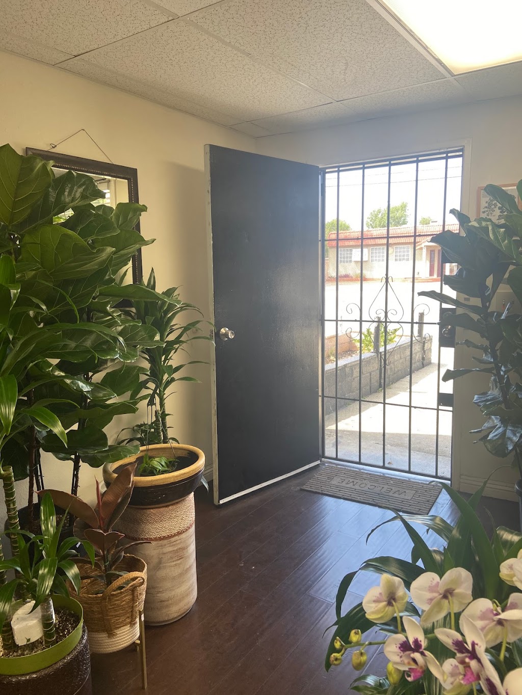 Fresh Indoor Plants | 1046 E 4th St, Ontario, CA 91764, USA | Phone: (909) 770-2098