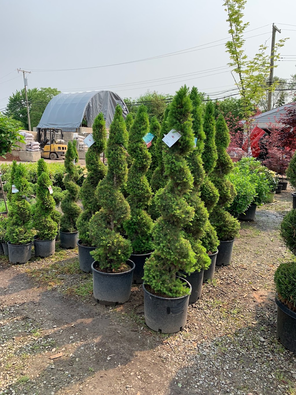 Merlinos Bushel Center Landscaping & Nursery | 1287 S Merriman Rd, Westland, MI 48186, USA | Phone: (734) 722-0616