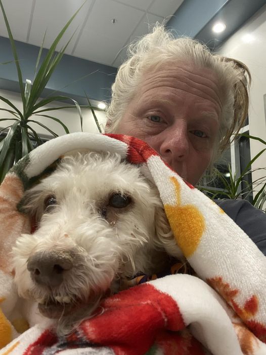 Animal Emergency Clinic | 22085 Commerce Wy, Grand Terrace, CA 92313, USA | Phone: (909) 825-9350