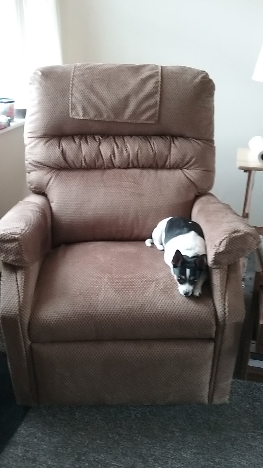 Canfield Medical Supply | 4120 Boardman-Canfield Rd A, Canfield, OH 44406, USA | Phone: (330) 333-7223