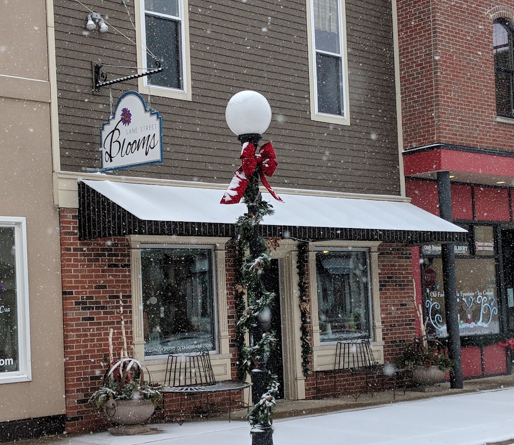 Lane Street Blooms | 131 S Lane St, Blissfield, MI 49228, USA | Phone: (517) 682-1101