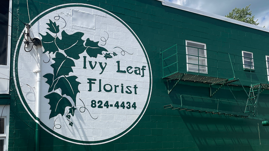 Ivy Leaf Florist | 16 N Main St, Dry Ridge, KY 41035, USA | Phone: (859) 824-4434