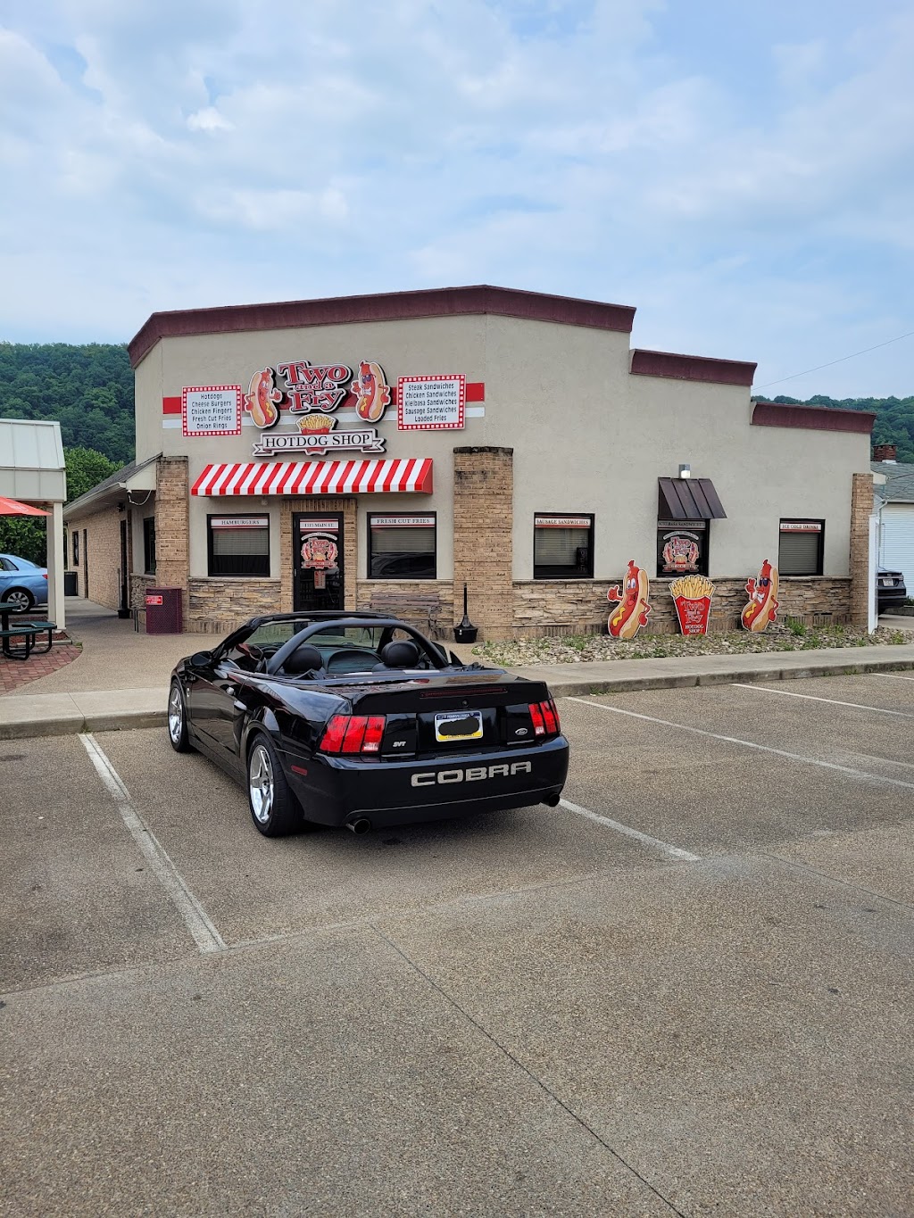 Two And A Fry | 1115 W Main St, Monongahela, PA 15063, USA | Phone: (724) 310-3182