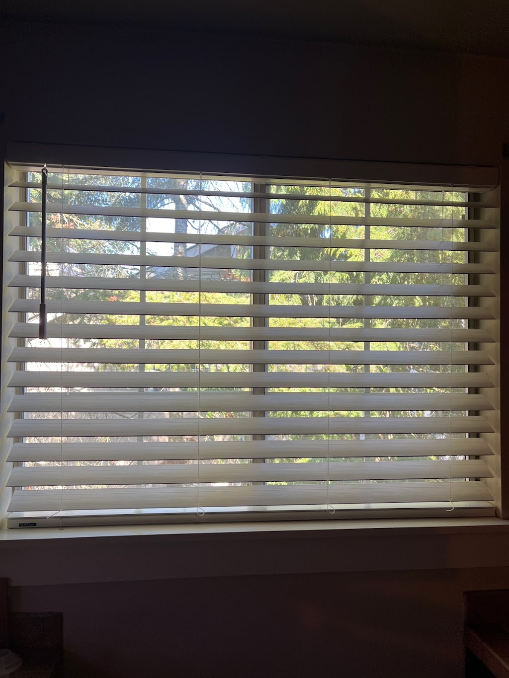 Budget Blinds of Federal Way | 33739 9th Ave S, Federal Way, WA 98003, USA | Phone: (253) 220-6544