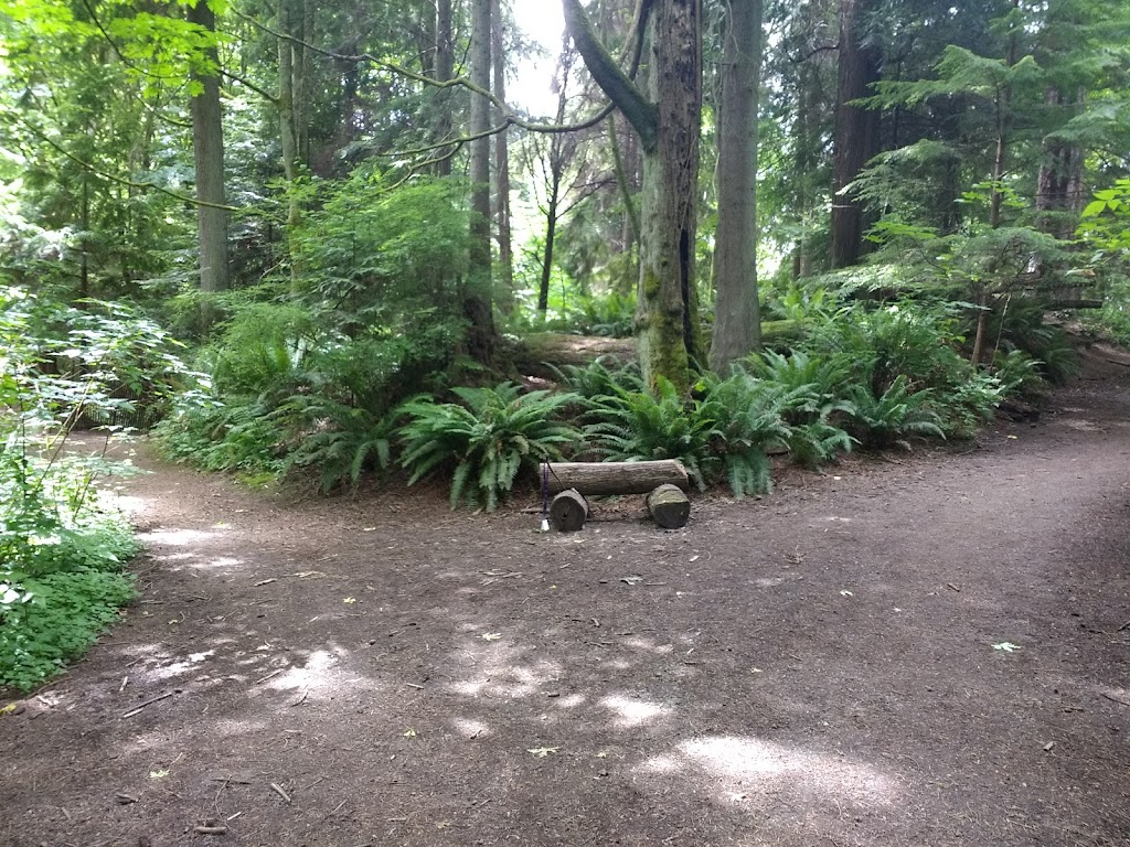 Schmitz Preserve Park | 5551 SW Admiral Way, Seattle, WA 98116, USA | Phone: (206) 684-4075