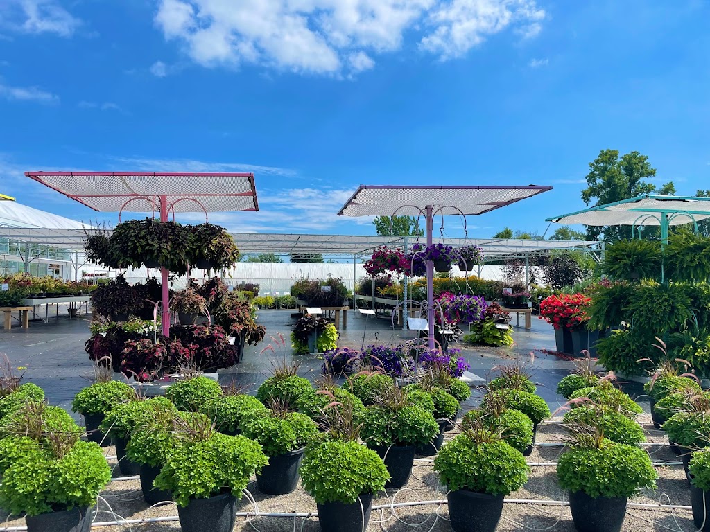 Maple Greenhouses & Garden Market | 1028 Hutchinson Rd, Lowbanks, ON N0A 1K0, Canada | Phone: (905) 774-7391