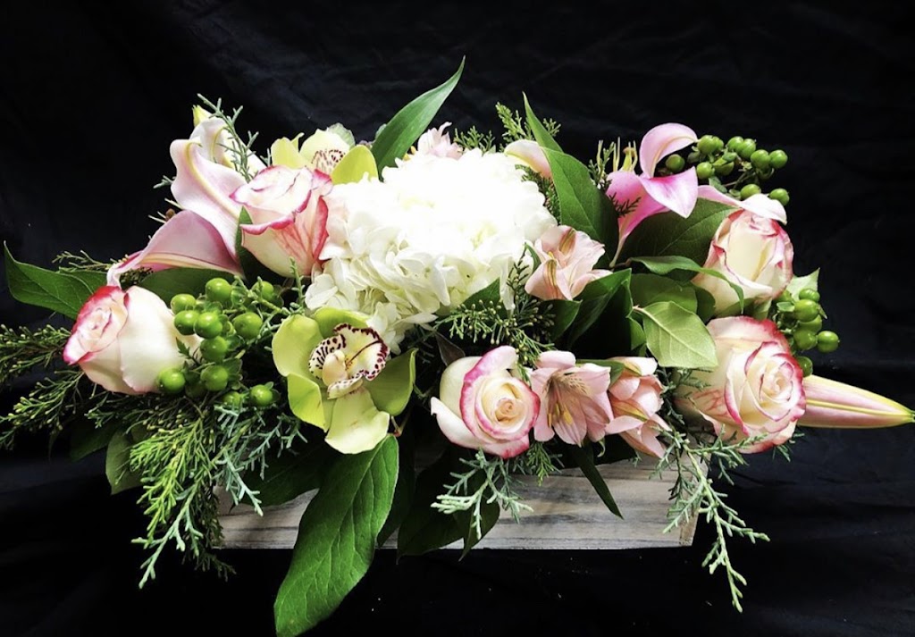 Needham Florist | 1091 Great Plain Ave, Needham, MA 02492, USA | Phone: (781) 449-8484