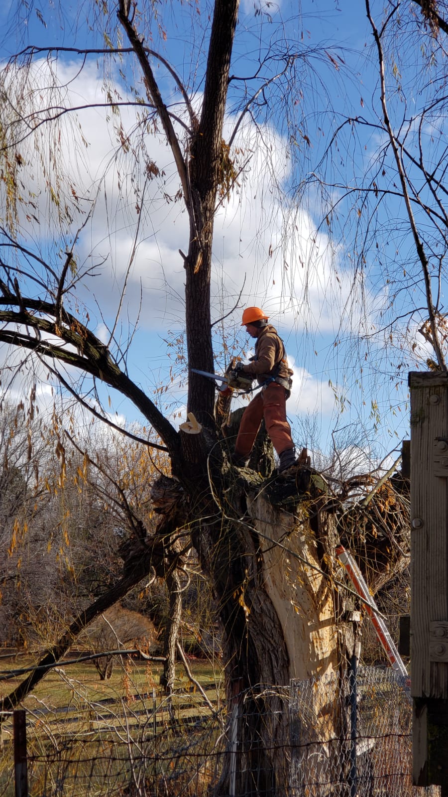 Rubens Lawn Care & Landscaping Services | 4305 E Vineyard Way, Nampa, ID 83686, USA | Phone: (208) 484-7340