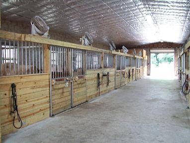 Alipar Equestrian | 17321 Morris Bridge Rd, Thonotosassa, FL 33592, USA | Phone: (813) 782-3220