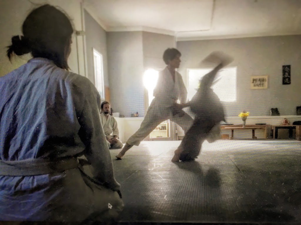 East Lake Aikido | 3359 36th Ave S, Minneapolis, MN 55406, USA | Phone: (612) 437-5536