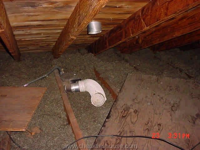 Albany Mold LLC | 133 Spring St 2nd fl, Albany, NY 12203, USA | Phone: (800) 727-0806