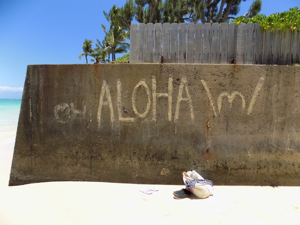 Kailua Beach Adventures | 130 Kailua Rd, Kailua, HI 96734, USA | Phone: (808) 262-2555