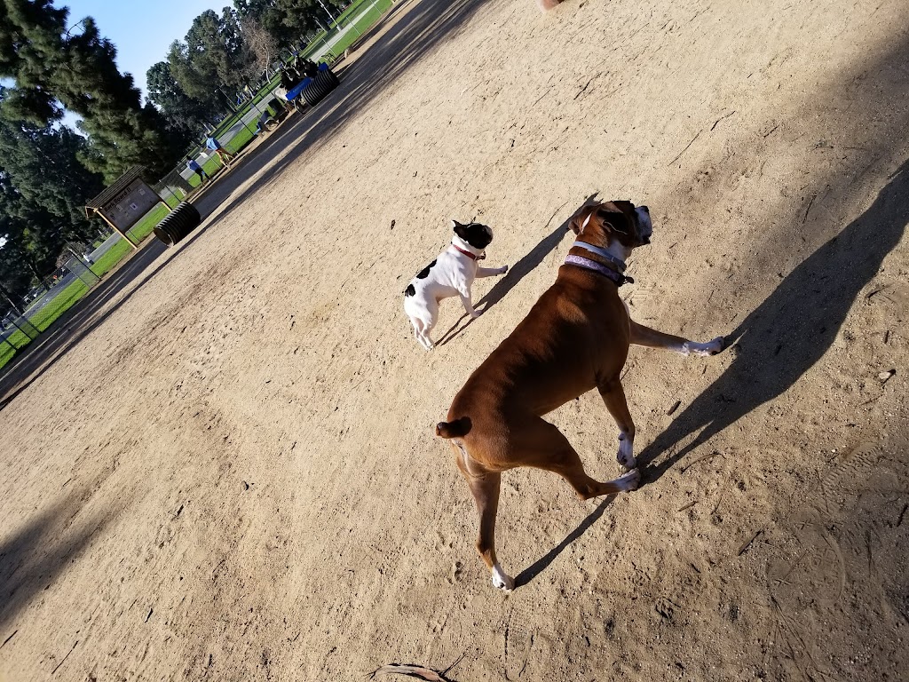 Recreation Dog Park | 5201 E 7th St, Long Beach, CA 90804, USA | Phone: (562) 570-7387