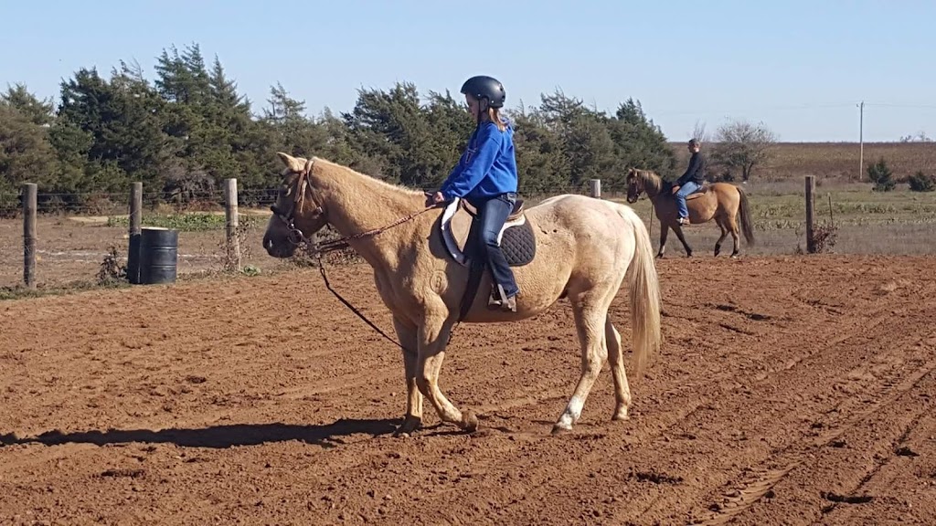 Storm Creek Horse Co. Farm & Rescue | 10518 W Boundary Rd, Pretty Prairie, KS 67570, USA | Phone: (316) 303-2497