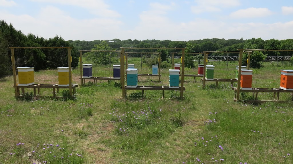 Hive Time Bee Experience | 3300 Martin Rd, Dripping Springs, TX 78620, USA | Phone: (512) 577-7272