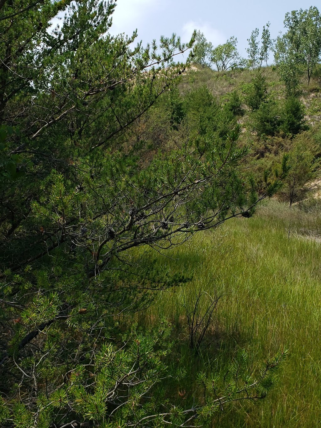 Indiana Dunes National Park West Beach Long Lake Trail Access | W Beach Rd, Gary, IN 46403, USA | Phone: (219) 926-2255