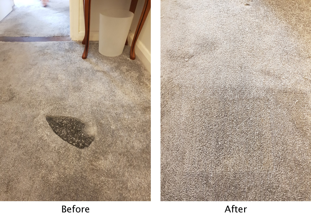 Pals Carpet Cleaning | 5910 Mountain View Ave, Riverside, CA 92504, USA | Phone: (951) 498-1629