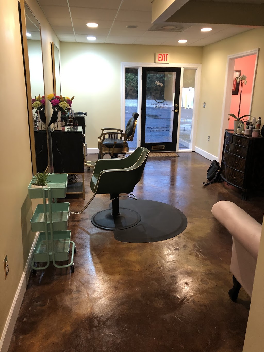 ALEXANDER DANA SALON | 3807 W San Miguel St, Tampa, FL 33629, USA | Phone: (815) 289-1773