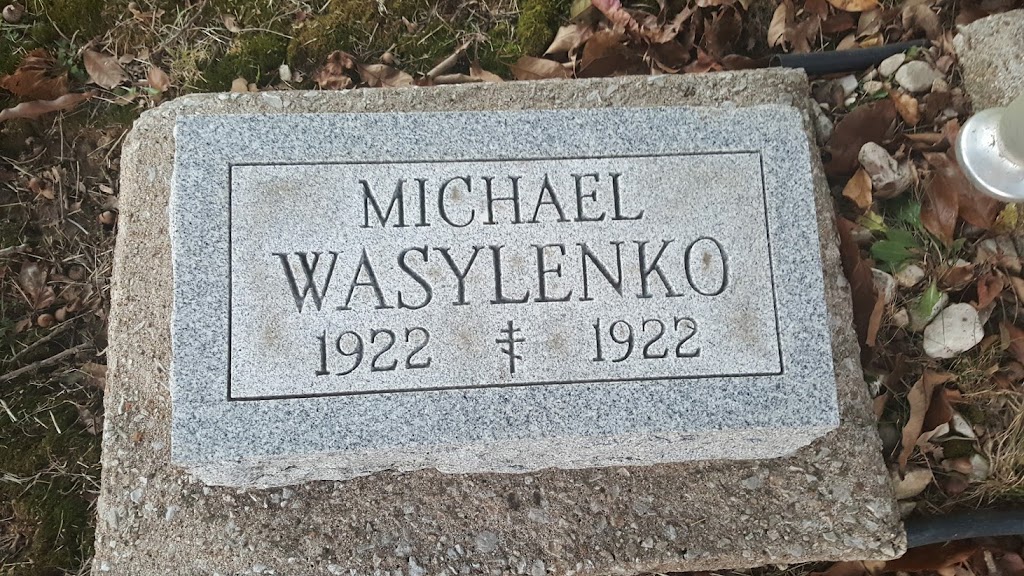 The Holy Dormition of the Theotokos Orthodox Cemetery inside, Benld