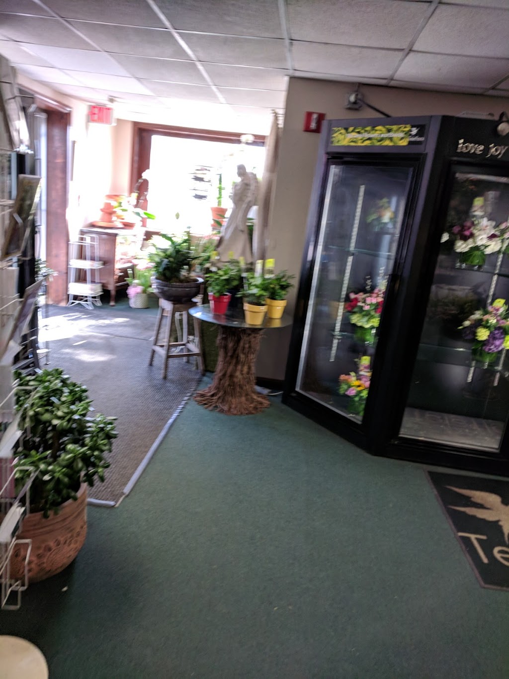 Judys Village Flowers | 34 School St, Foxborough, MA 02035, USA | Phone: (508) 543-4400