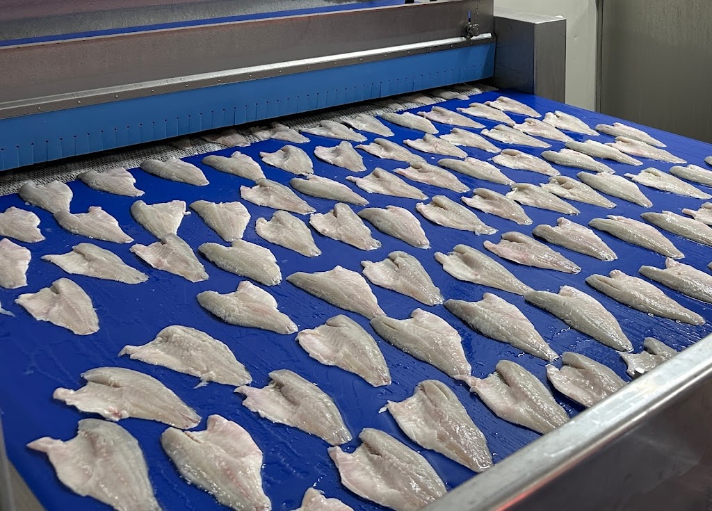 Brands Fish Processing B.V. | Kamperhoek, Inschot 4, 8321 MB Urk, Netherlands | Phone: 0527 820 010