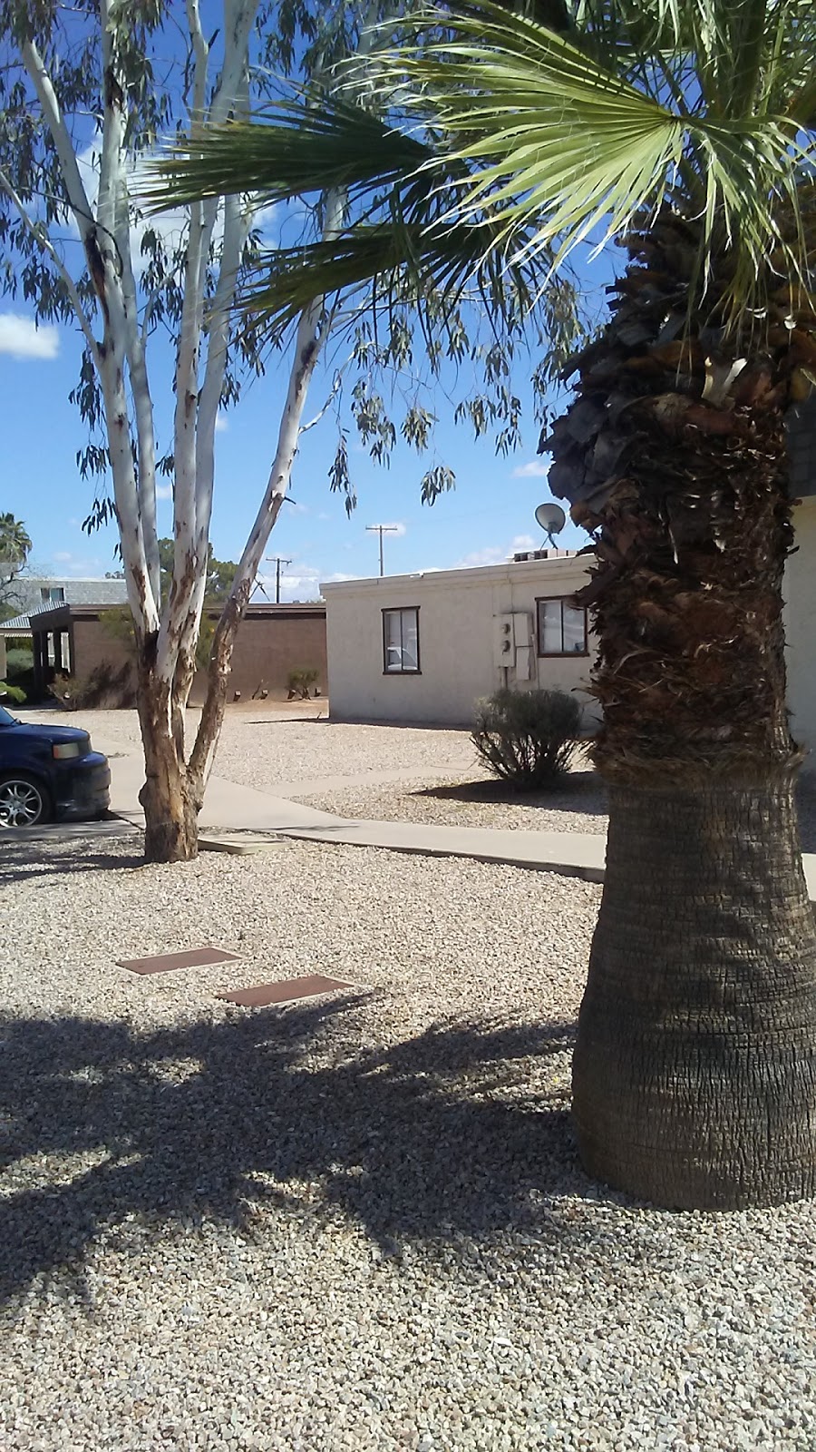 Desert Palms Apartments | 220 9th St, Florence, AZ 85295, USA | Phone: (602) 469-0952