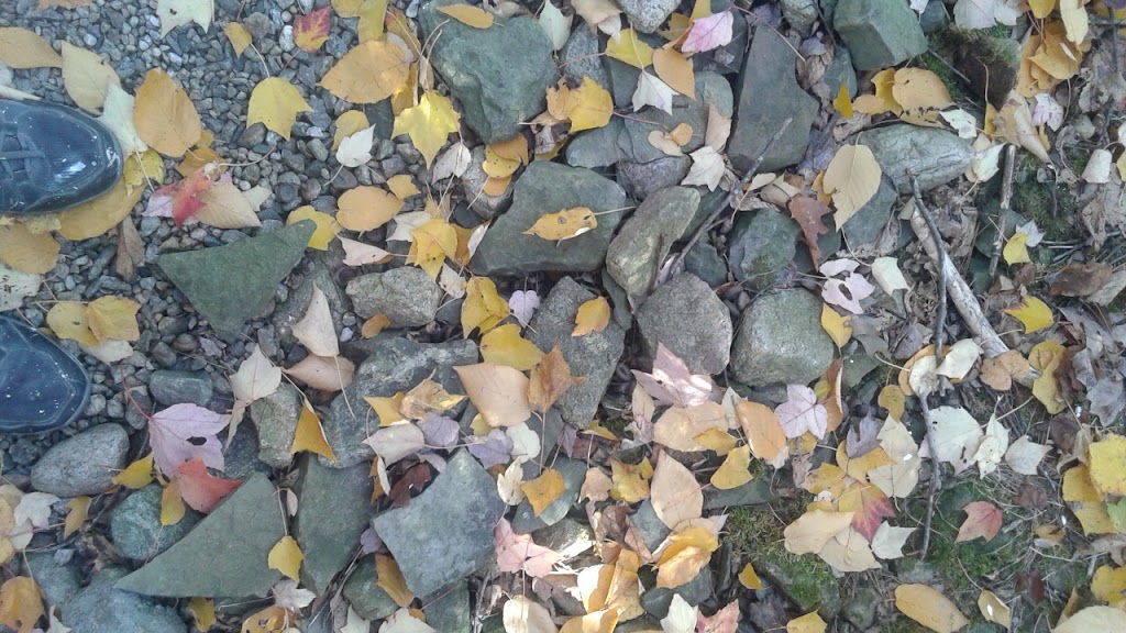 Adolescent Wellness, Inc. | 103 Old Colony Rd, Wellesley, MA 02481, USA | Phone: (781) 727-8617