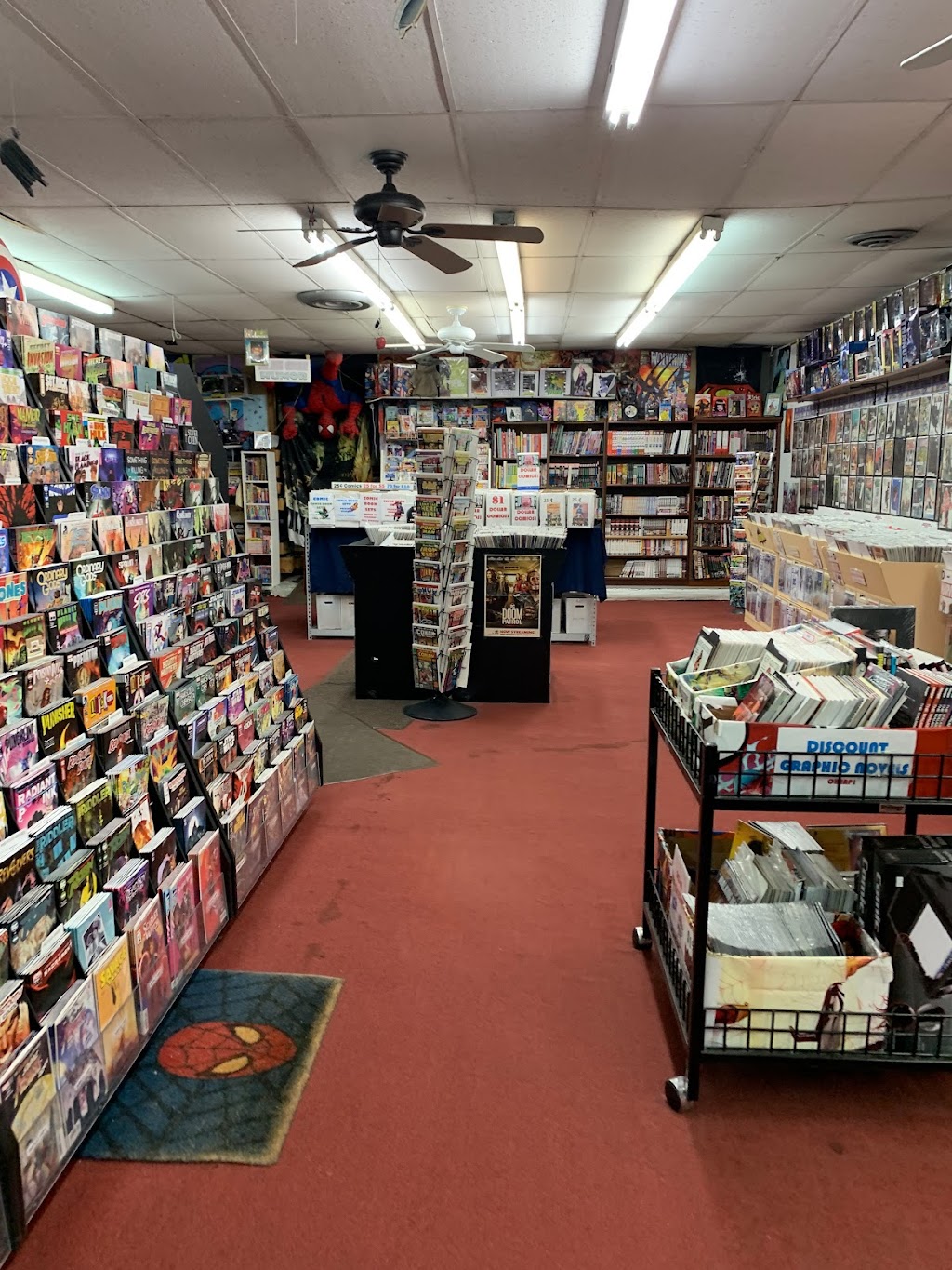 Earthworld | 537 Central Ave, Albany, NY 12206, USA | Phone: (518) 459-2400