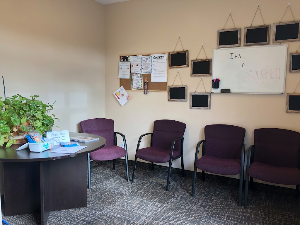 Central Minnesota Mental Health Center | 253 8th St NW A, Elk River, MN 55330, USA | Phone: (763) 441-3770