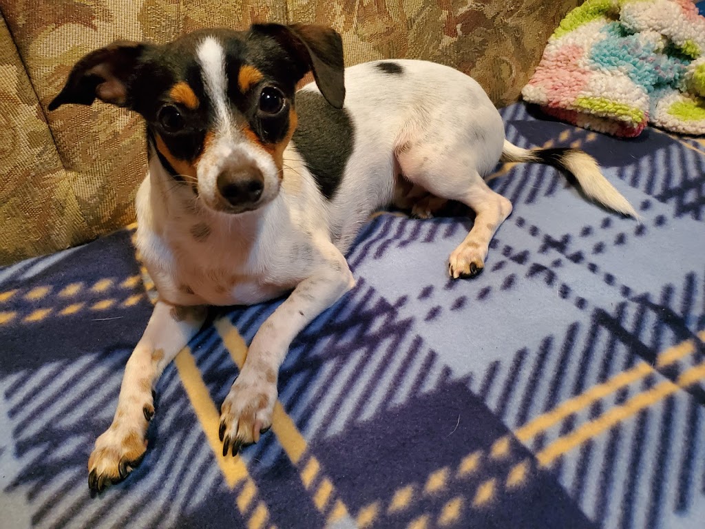 Hottins Trophies & Awards | 9275 Park Blvd N, Largo, FL 33777, USA | Phone: (727) 391-0904