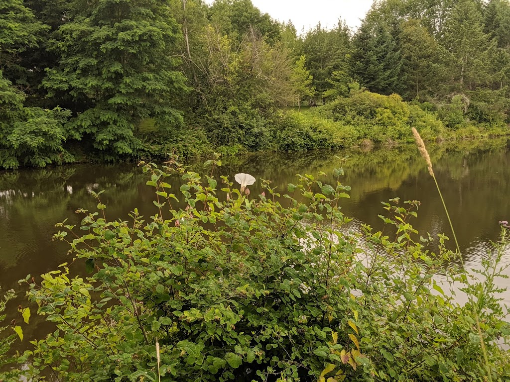 Summerlake City Park | 11450 SW Winter Lake Dr, Tigard, OR 97223, USA | Phone: (503) 718-2641