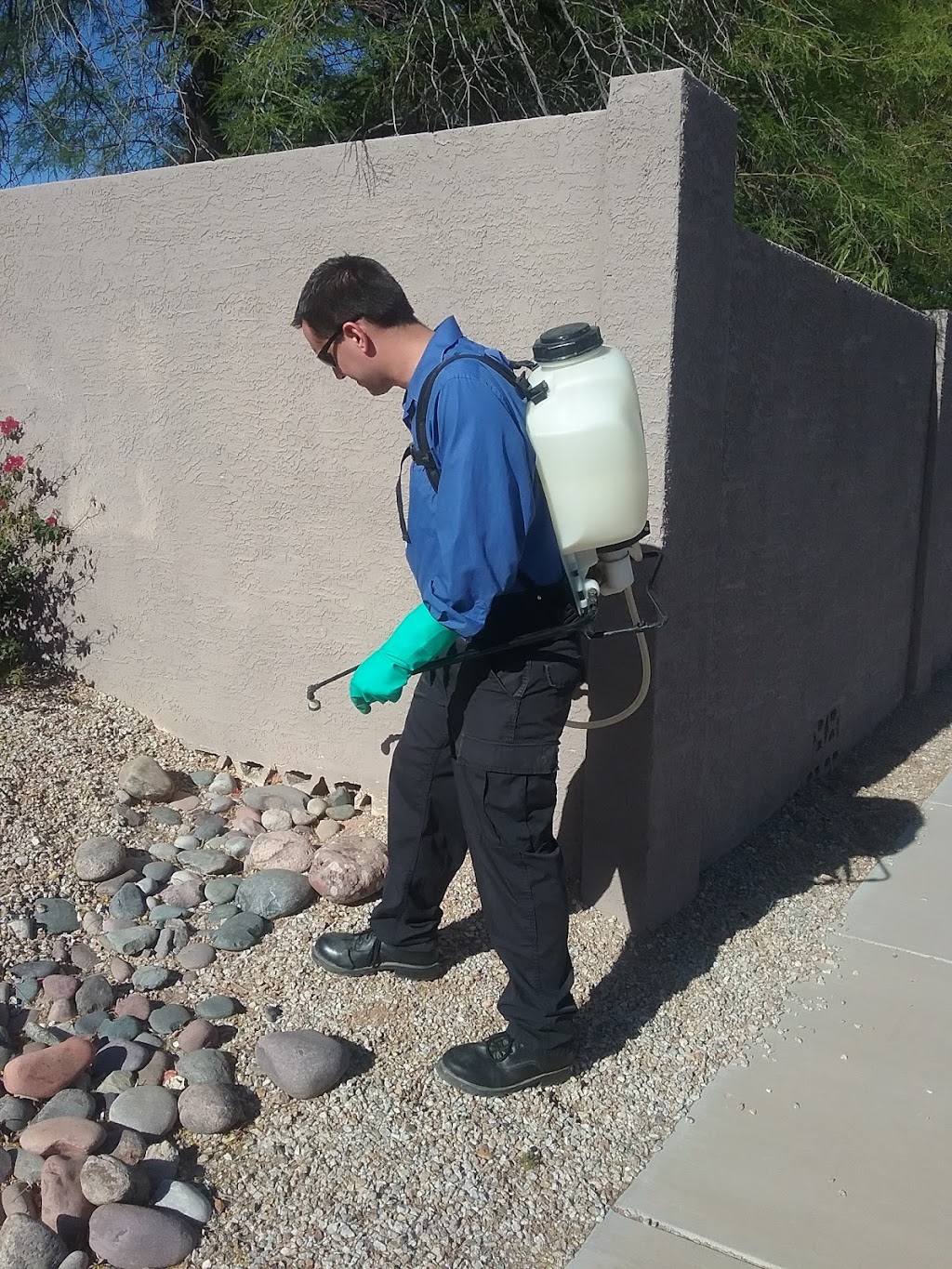 Good To Go Pest Control LLC | 28023 N Quartz Dr, San Tan Valley, AZ 85143, USA | Phone: (480) 787-7868