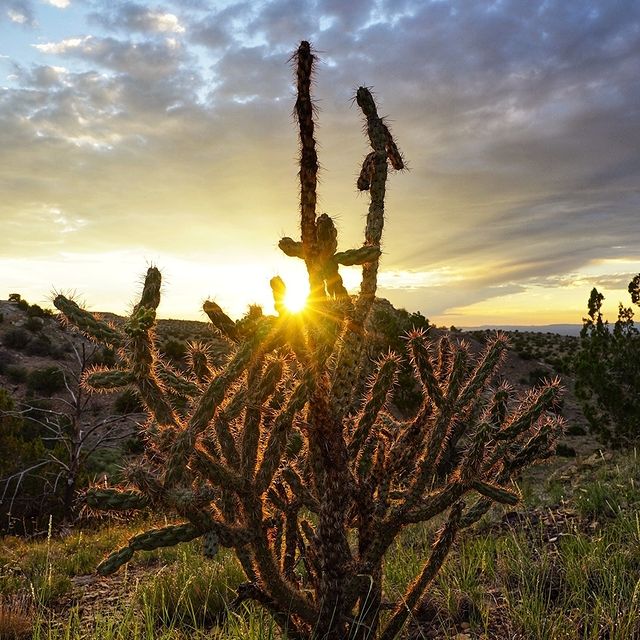 Ranchito la Luna | 0 Rogersville Rd, Los Cerrillos, NM 87010, USA | Phone: (503) 422-9297