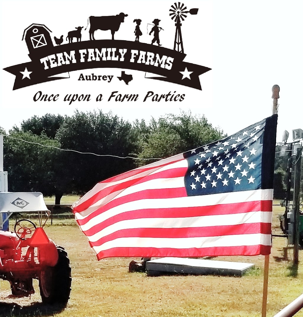 Team Family Fireworks | 1042 W Sherman Dr Suite 301, Aubrey, TX 76227, USA | Phone: (940) 343-5155